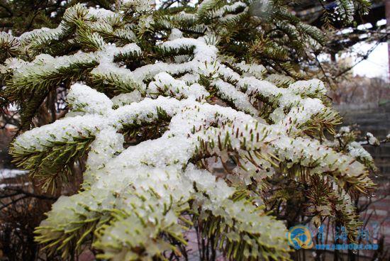 未来三天玉树灾区将有小到中雪