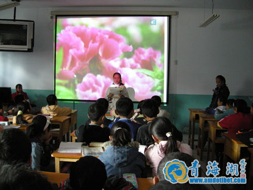 海南州共和县中学概况