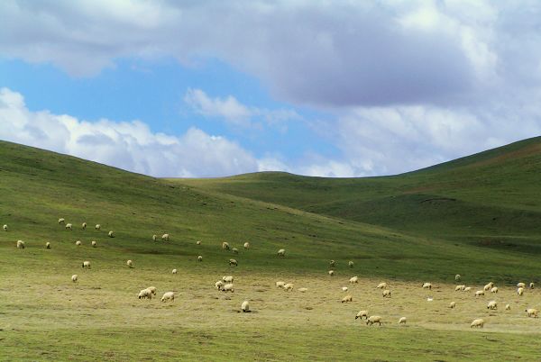 西藏那曲美景