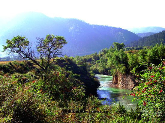 卓尼大峪沟森林旅游区