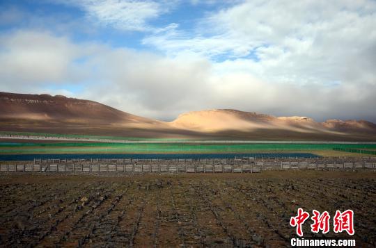 青藏铁路格拉段沿线沙害治理初见成效