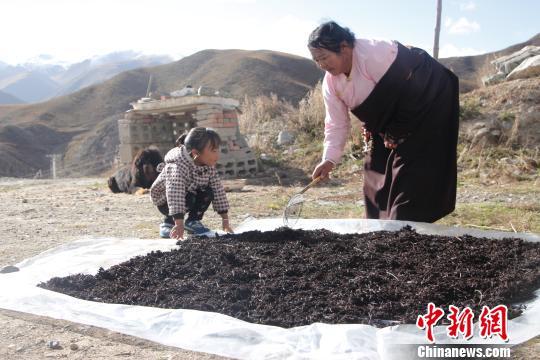 扶贫助玉树妇女早脱贫